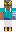 skin of a player