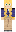 skin of a player