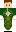 skin of a player