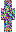 skin of a player