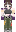 skin of a player
