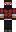 skin of a player