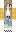 skin of a player