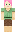 skin of a player