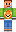 skin of a player
