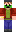 skin of a player