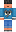 skin of a player