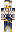 skin of a player