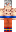 skin of a player