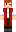 skin of a player