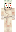 skin of a player