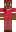 skin of a player
