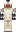 skin of a player