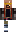skin of a player