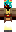 skin of a player
