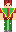 skin of a player