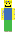 skin of a player