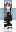 skin of a player