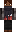 skin of a player