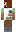 skin of a player