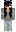 skin of a player