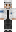 skin of a player