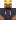 skin of a player
