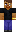 skin of a player