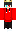 skin of a player