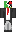 skin of a player