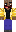 skin of a player