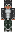 skin of a player