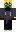 skin of a player