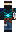 skin of a player