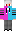 skin of a player