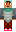 skin of a player