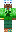 skin of a player