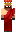 skin of a player