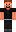 skin of a player