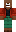 skin of a player