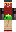 skin of a player
