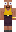 skin of a player