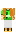 skin of a player