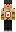 skin of a player