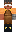 skin of a player