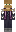 skin of a player