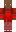 skin of a player