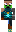 skin of a player