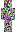 skin of a player