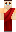 skin of a player